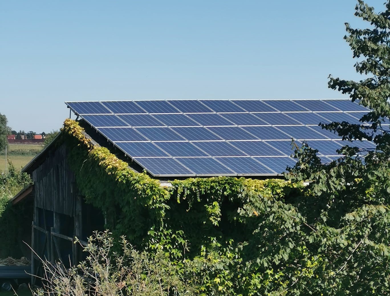 Photovoltaikanlage, Solarzellen